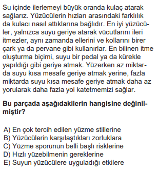 Soru Görseli